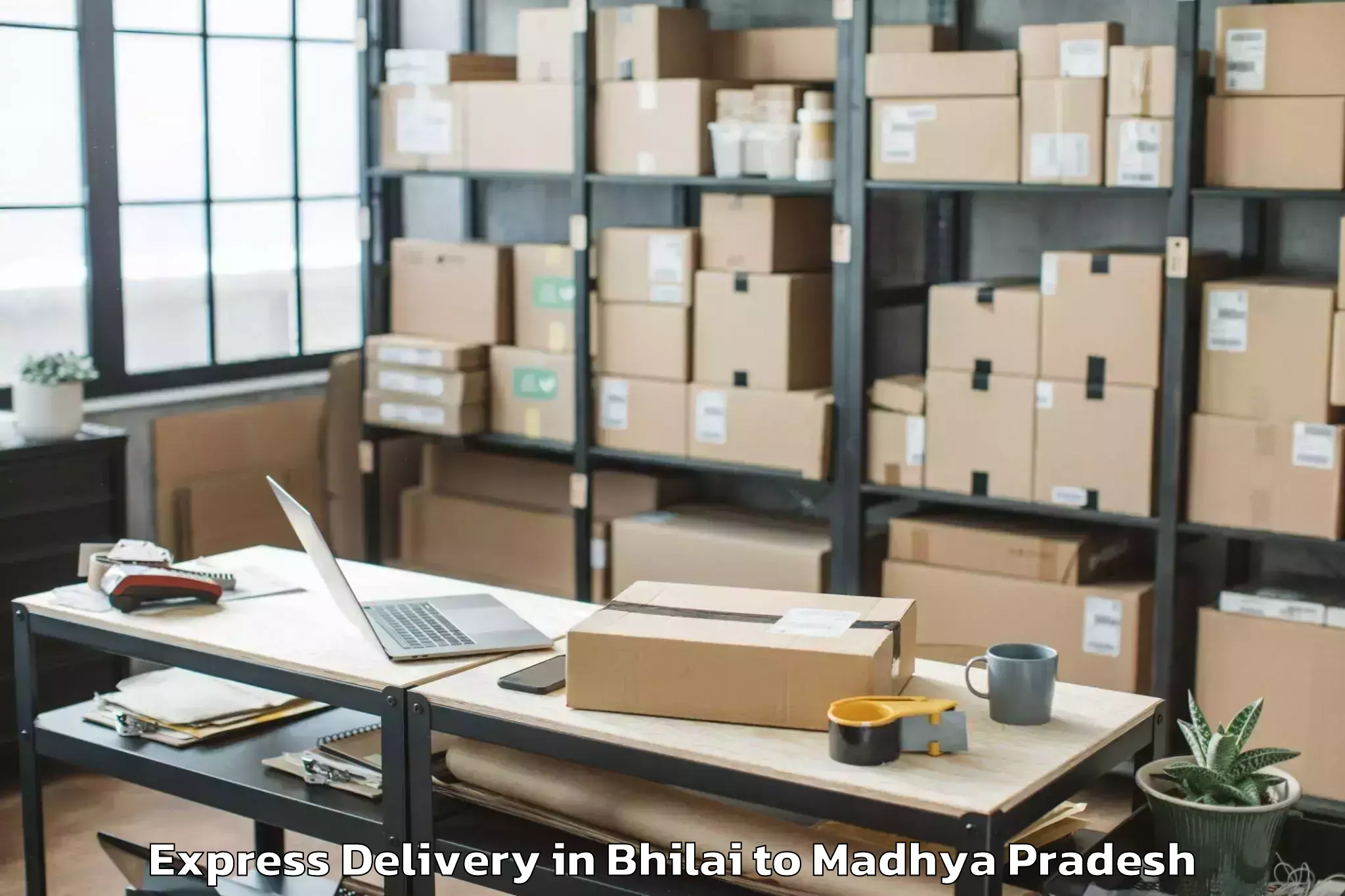 Reliable Bhilai to Madhyanchal Professional Unive Express Delivery